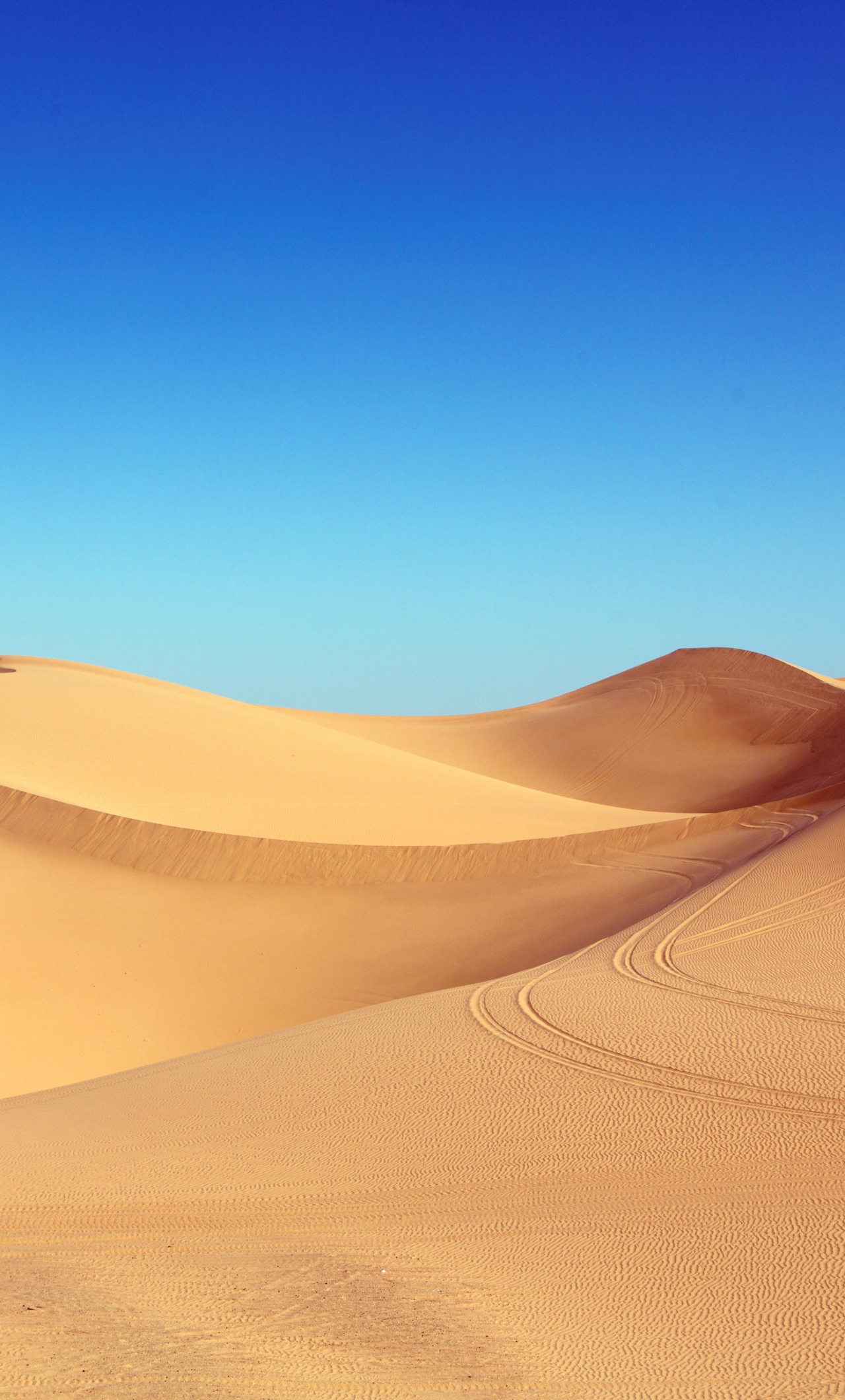 Download wallpaper 1280x2120 sahara desert, sand, clean skyline, blue ...