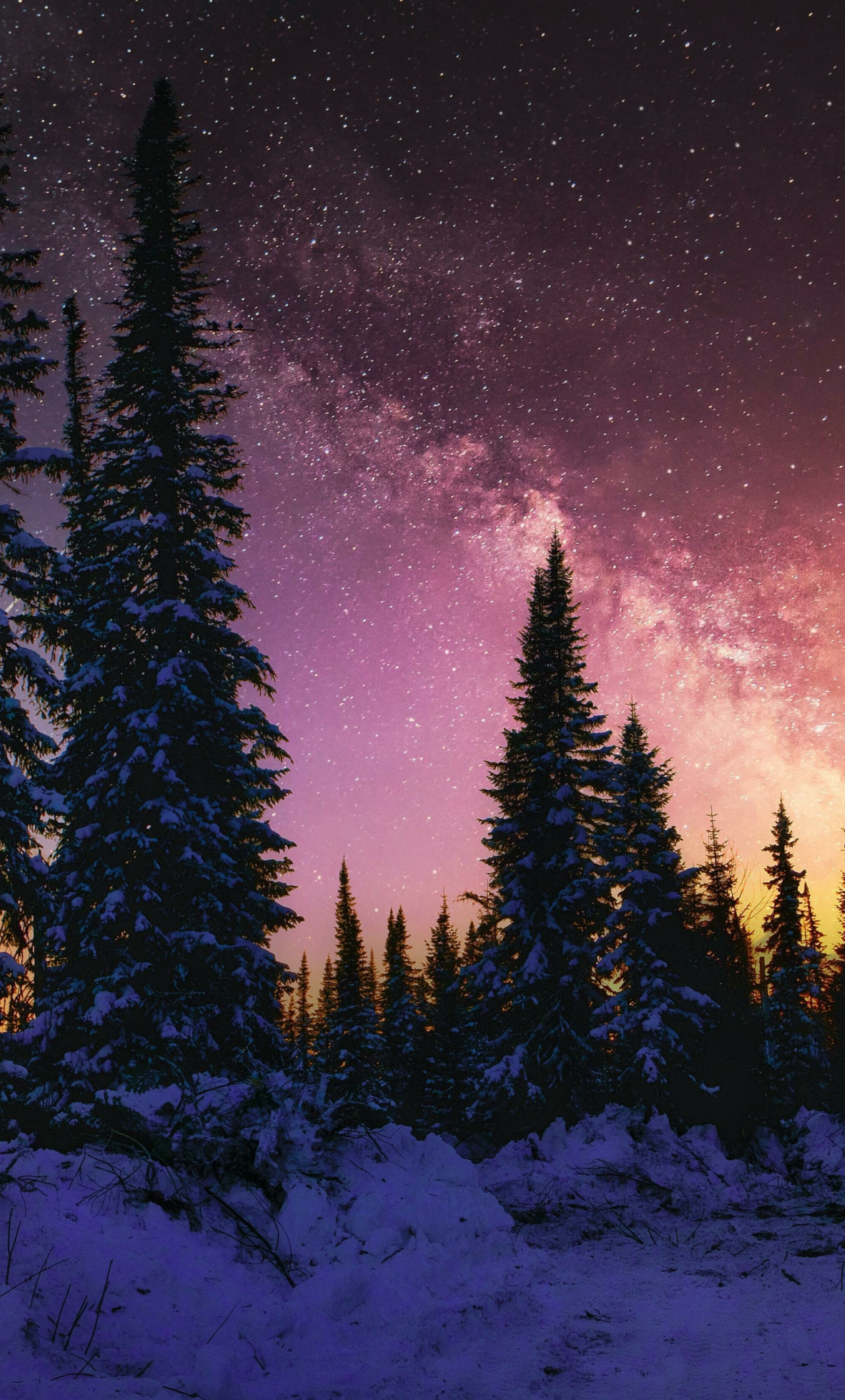 Beautiful night sky scenery 4K wallpaper download