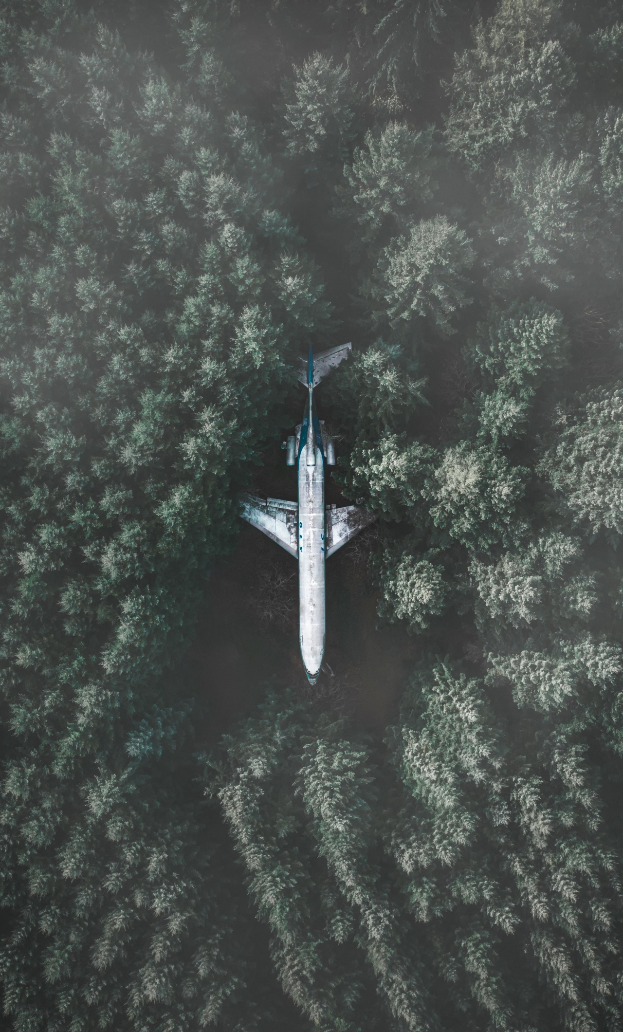 Download wallpaper 1280x2120 airplane, forest, aerial view, iphone 6 plus,  1280x2120 hd background, 23519