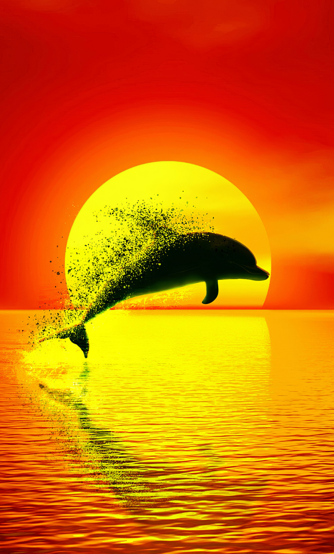 Wallpaper Dolphin Sunset  WallpaperSafari  Sunset Dolphins Water animals