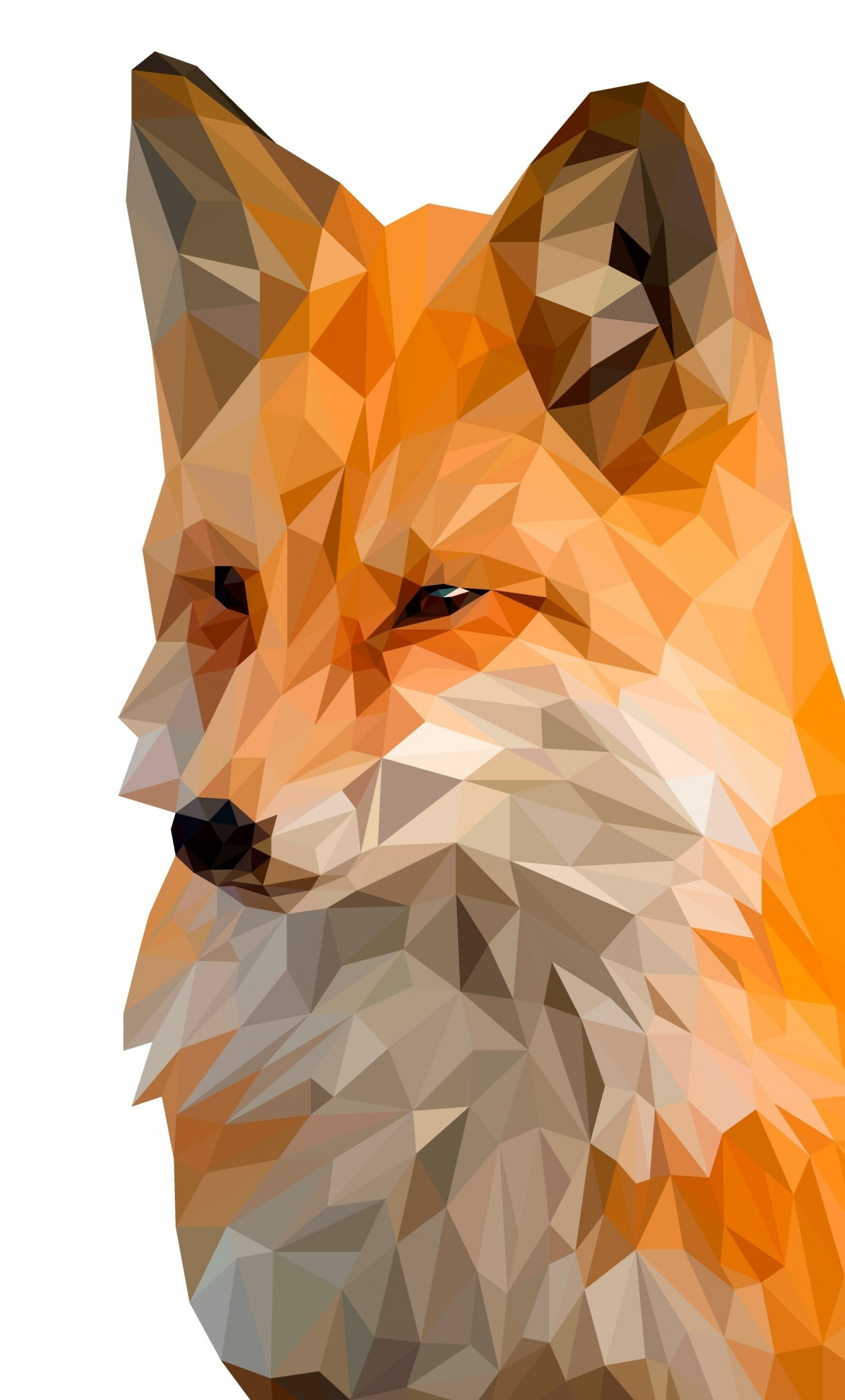 Fox, muzzle, digital art, low poly, 1280x2120 wallpaper