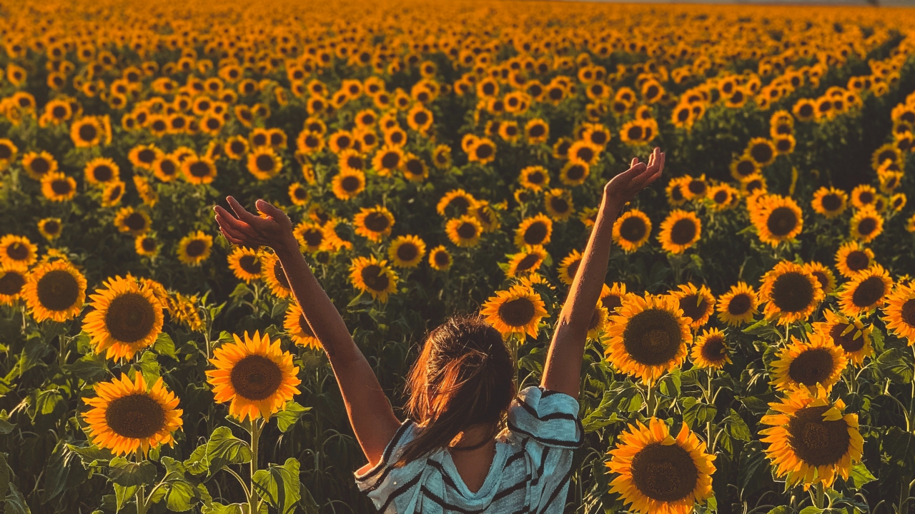 Sunny day, sunflowers, farm, woman, 1280x720 wallpaper