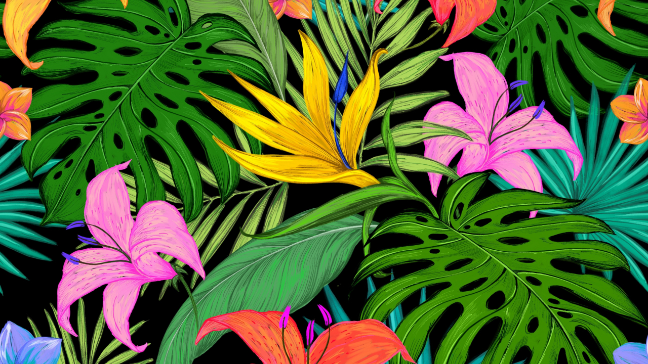 Pattern, tropical, flowers, leaves, 1280x720 wallpaper