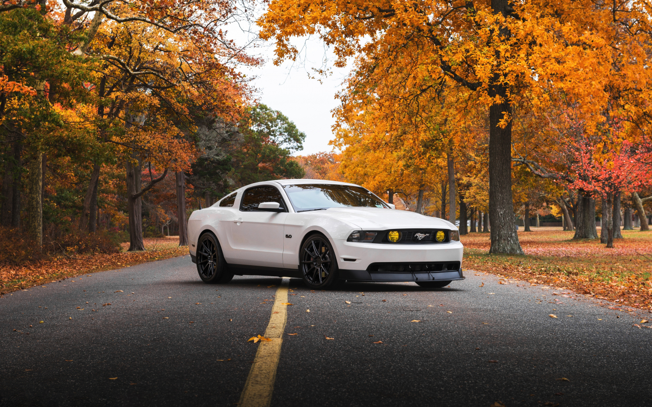 Download 1280x800 wallpaper white, ford mustang, sports ...