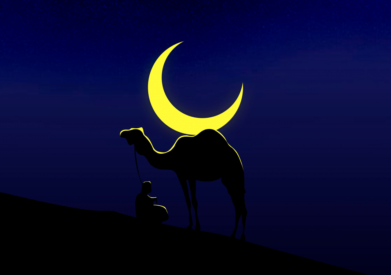 Camel and his master, moon, minimal, 1280x900 wallpaper