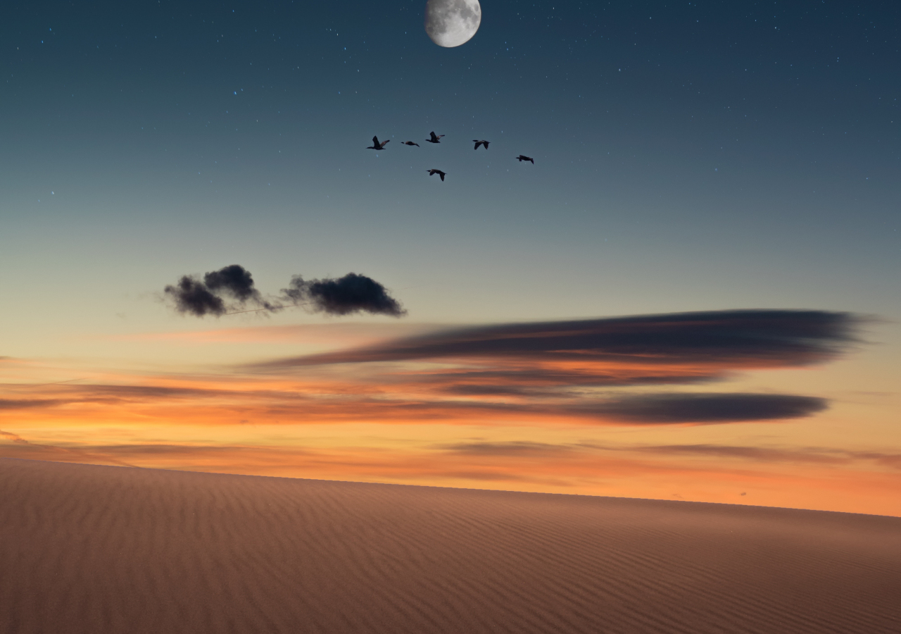 Full moon, birds, landscape, desert, 1280x900 wallpaper