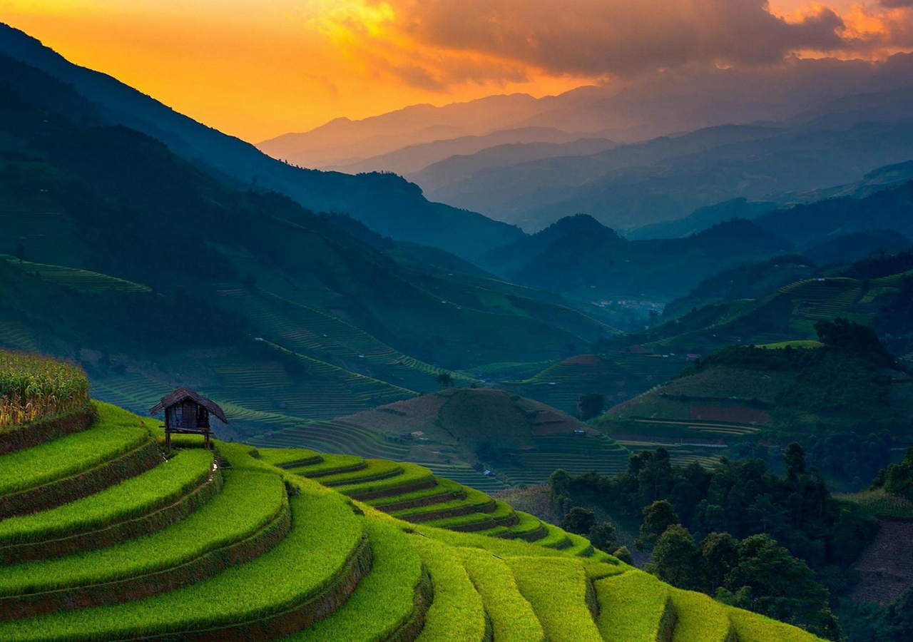 Rice farms, landscape, horizon, mountains, Philippines, 1280x900 wallpaper
