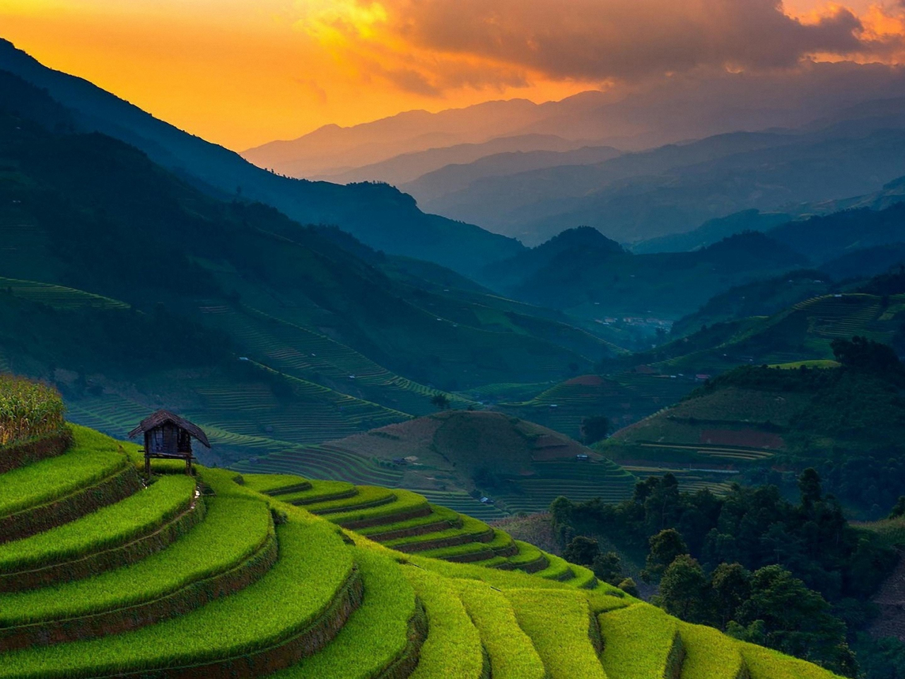 Rice farms, landscape, horizon, mountains, Philippines, 1280x960 wallpaper