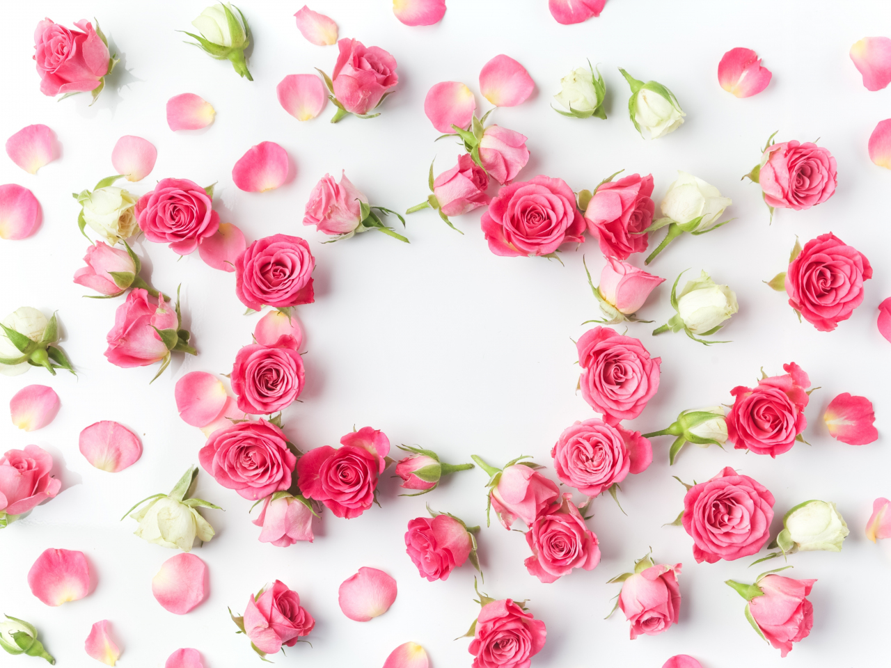 Download wallpaper 1280x960 flowers, petals, pink roses, flowers, standard  4:3 fullscreen 1280x960 hd background, 10878