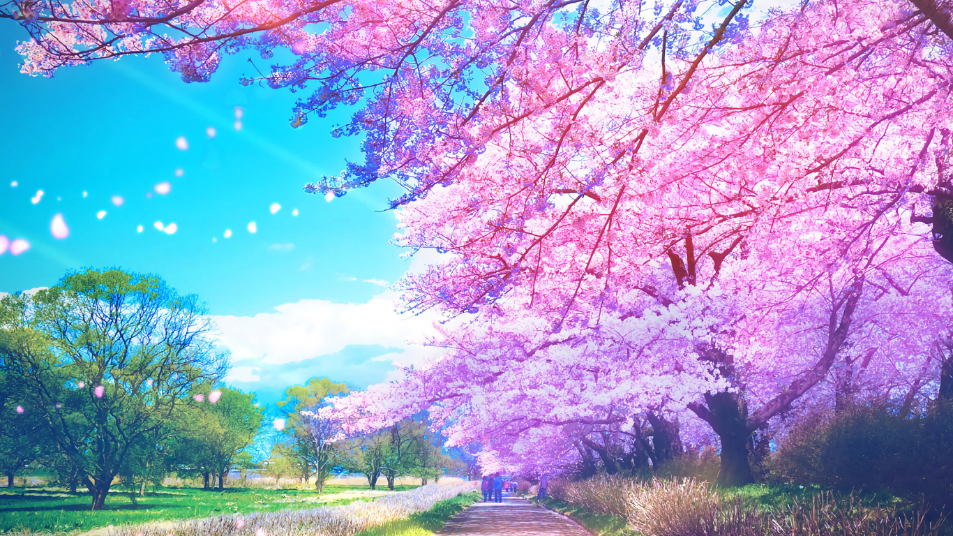 Original anime trees blossom wallpaper background 