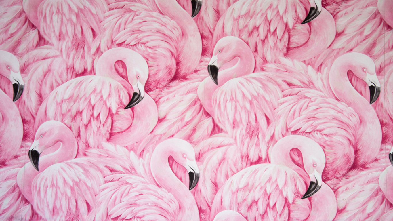 Download wallpaper 1366x768 pink flamingos, bird artwork, tablet, laptop,  1366x768 hd background, 27494