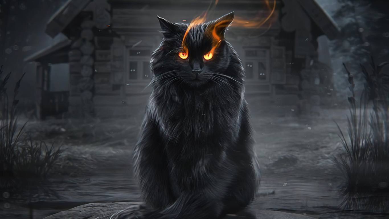 Black cat fire eyes fantasy wallpaper background 
