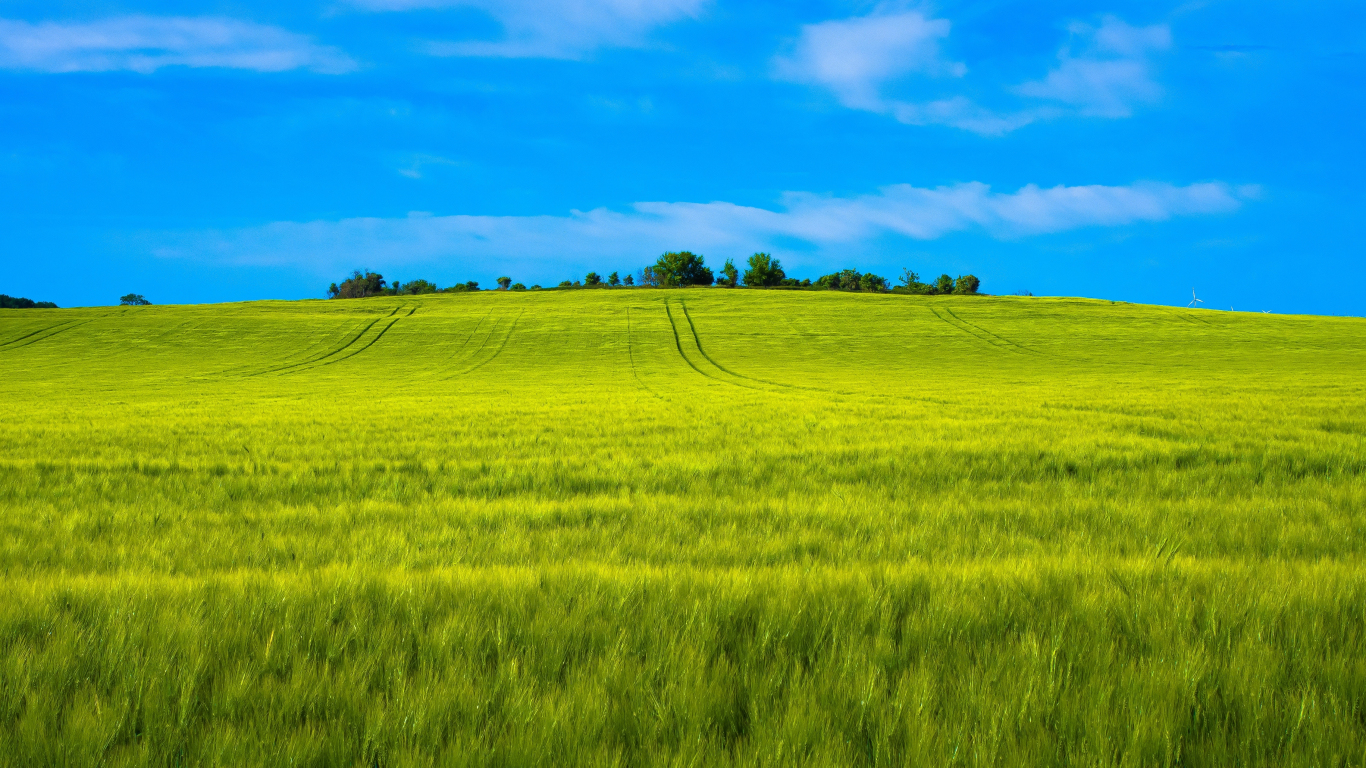 agriculture wallpaper desktop