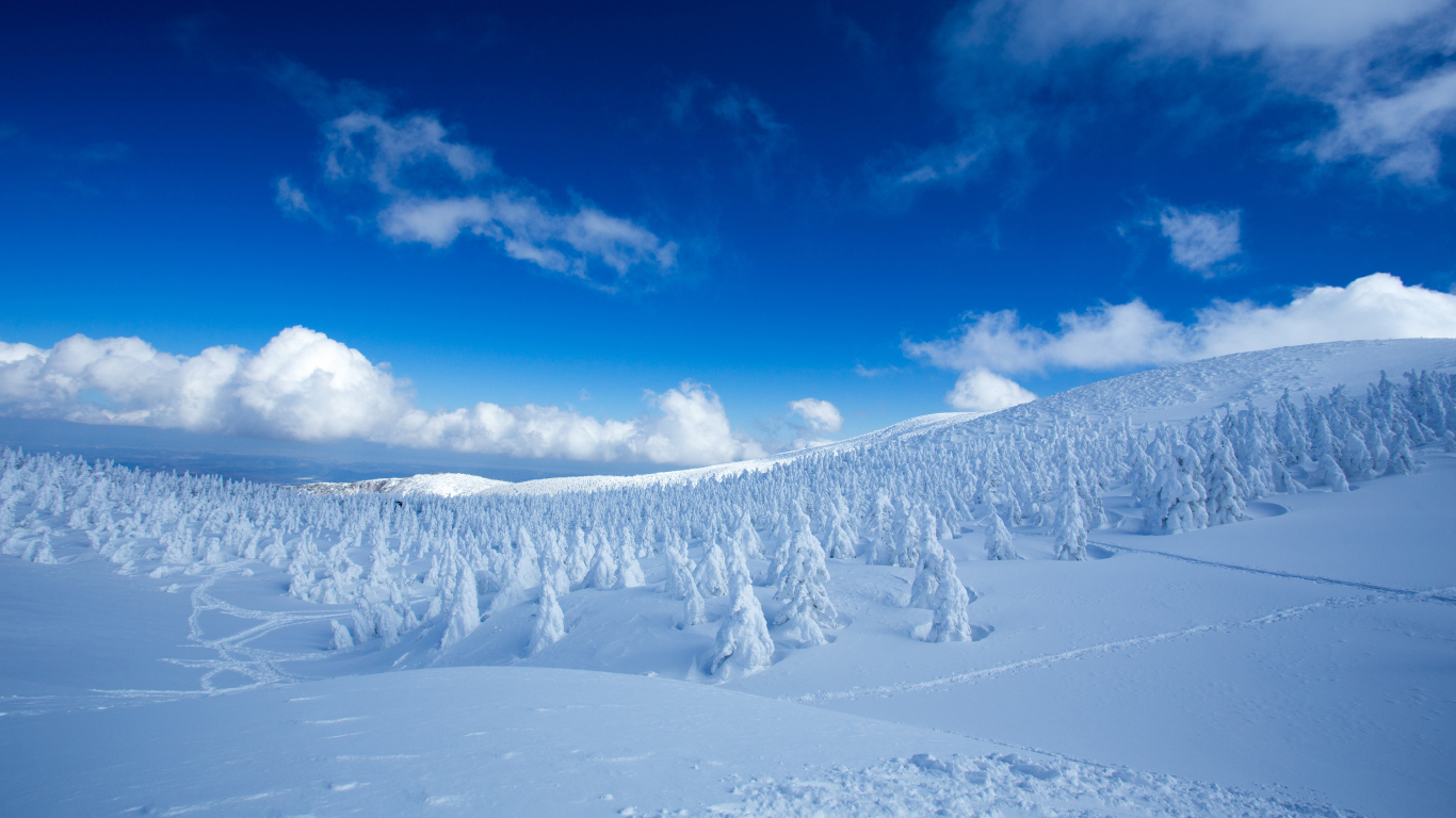 Download 1366x768 wallpaper winter, snow-caped trees, landscape, nature ...