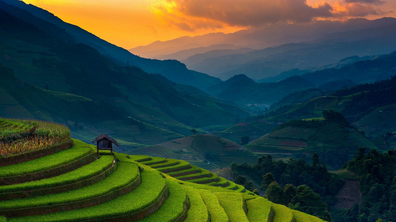 Rice farms, landscape, horizon, mountains, Philippines, 1366x768 wallpaper