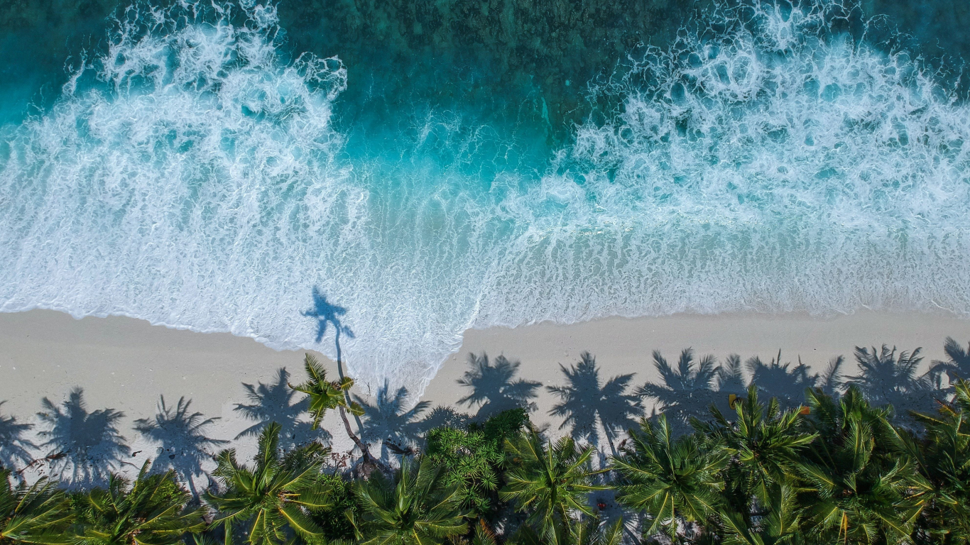 Download wallpaper 1366x768 beautiful beach, aerial view, palm trees