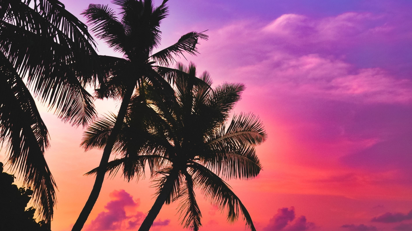 Download wallpaper 1366x768 tropical island, beach, pink sky, sunset ...