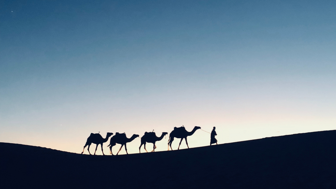 Silhouette, sunset, camel, Morocco, 1366x768 wallpaper