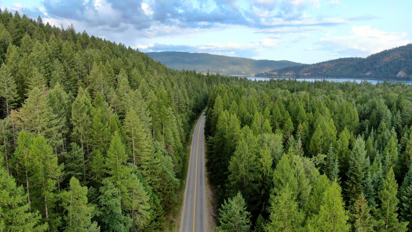 Road in a forest, forest, green 1366x768, road, HD wallpaper