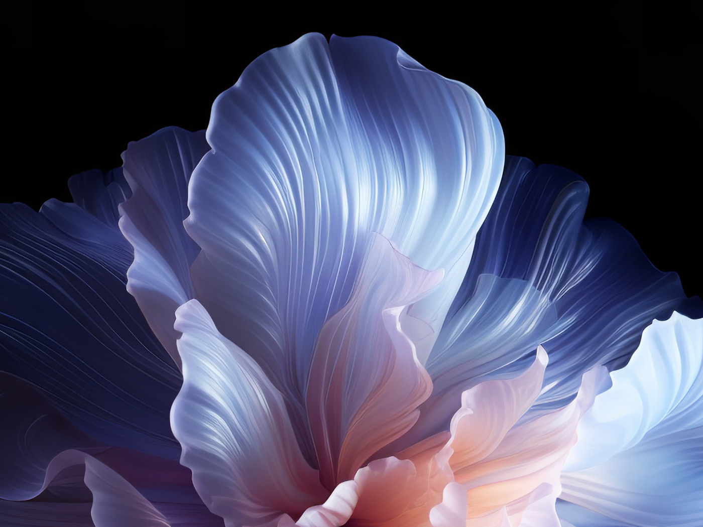 Download wallpaper 1400x1050 petal shape floral pattern, digital art ...