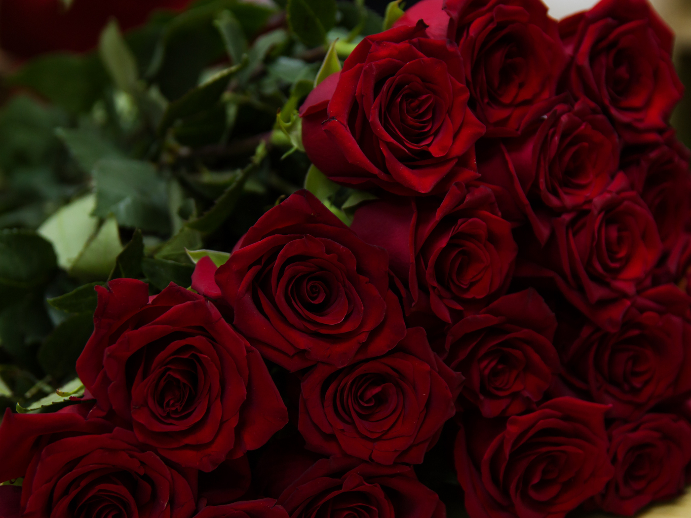 Avikalp Exclusive Awi3296 Beautiful Red Rose Flowers Full HD Wallpaper –  Avikalp International - 3D Wallpapers
