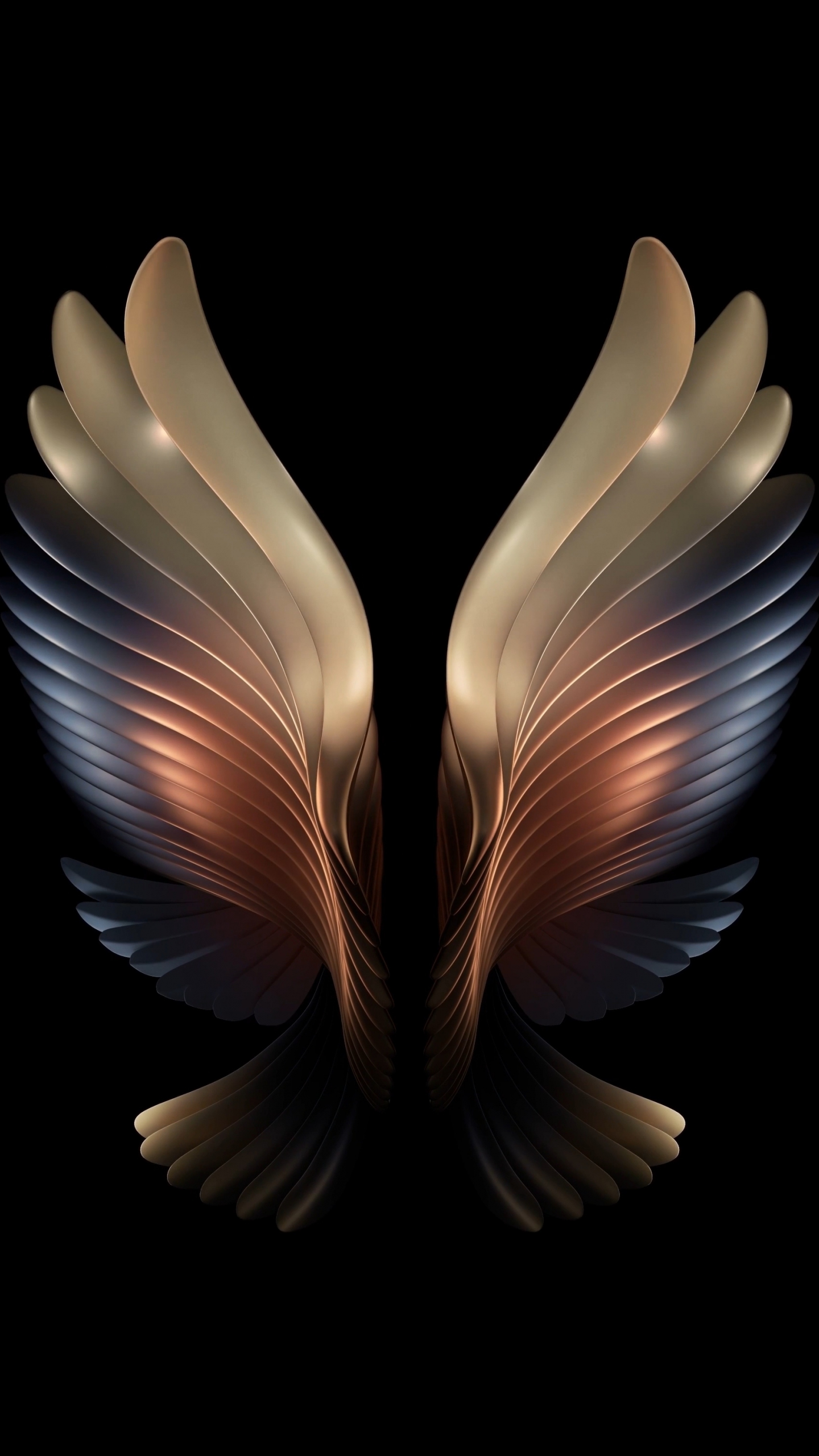 Amoled, angel wings, dark, 1440x2560 wallpaper