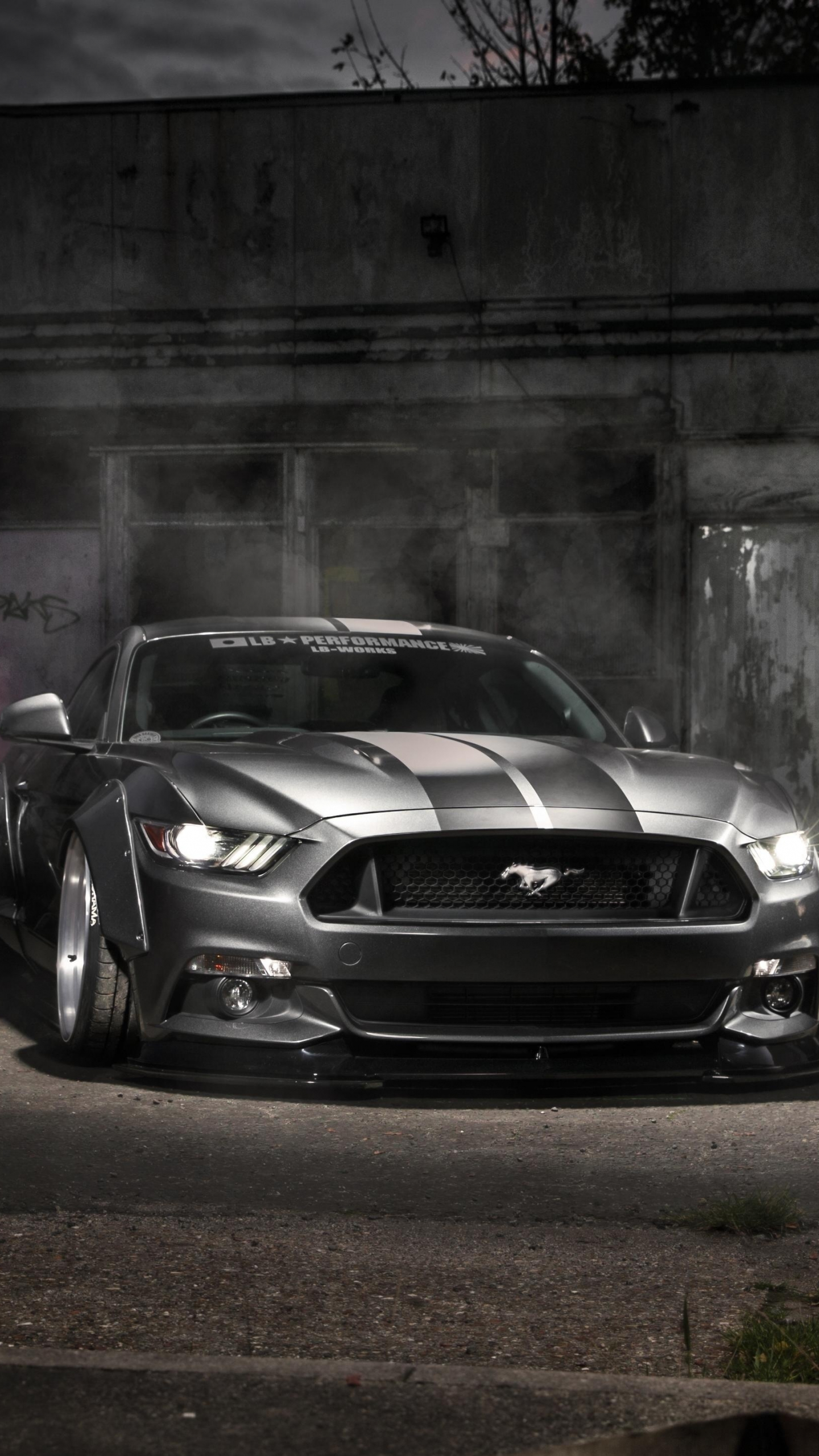 Download wallpaper 1440x2560 mustang ford, silver, muscle car, qhd samsung  galaxy s6, s7, edge, note, lg g4, 1440x2560 hd background, 20623