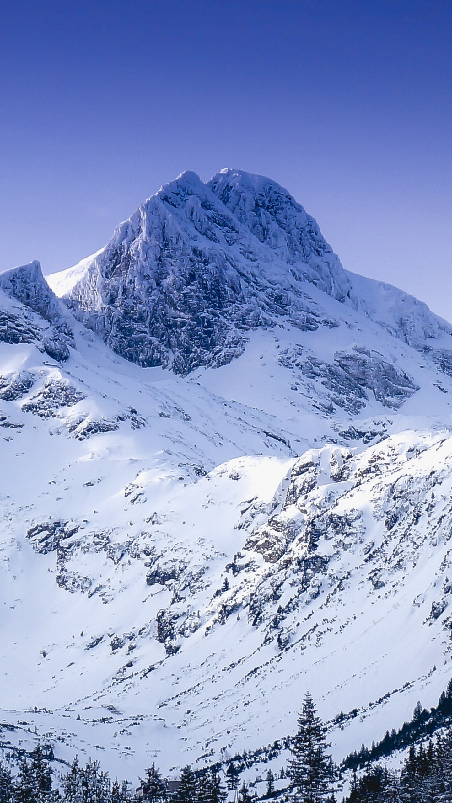 Winter, glacier, mountain, nature, 1440x2560 wallpaper