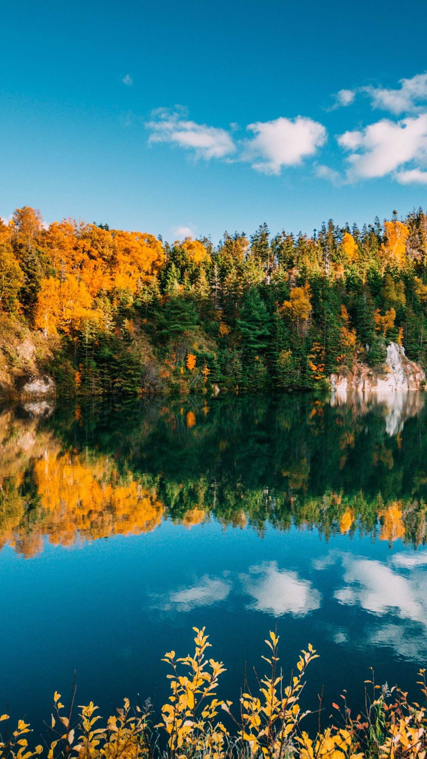 Отражение Осени В Воде Фото