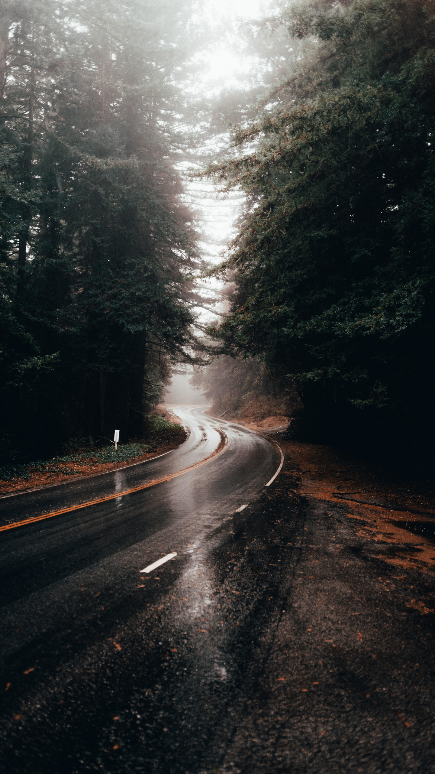 Highway turn, road, rainy, water on road, 1440x2560 wallpaper