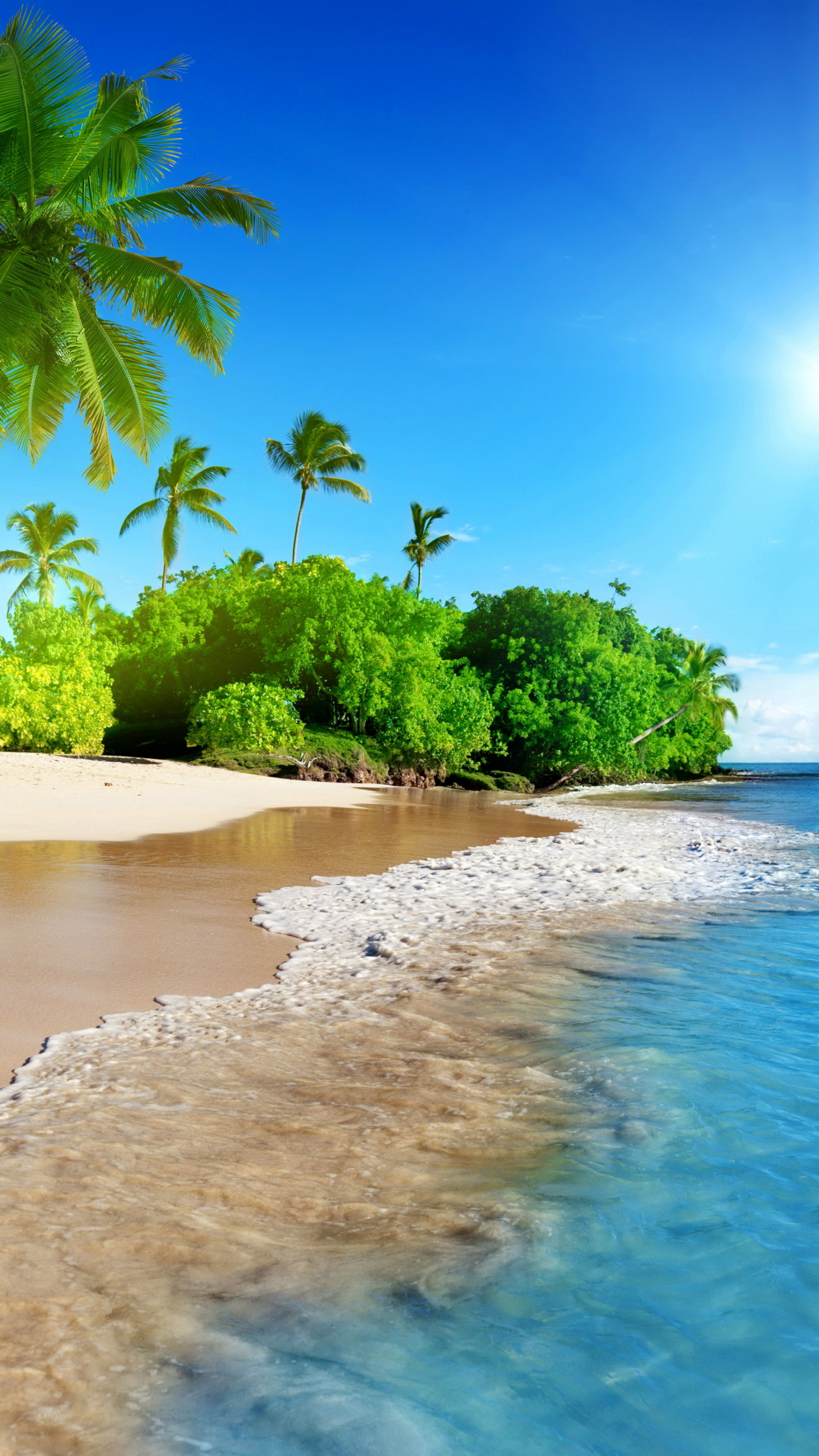 Tropical beach, sea, calm, sunny day, holiday, 1440x2560 wallpaper