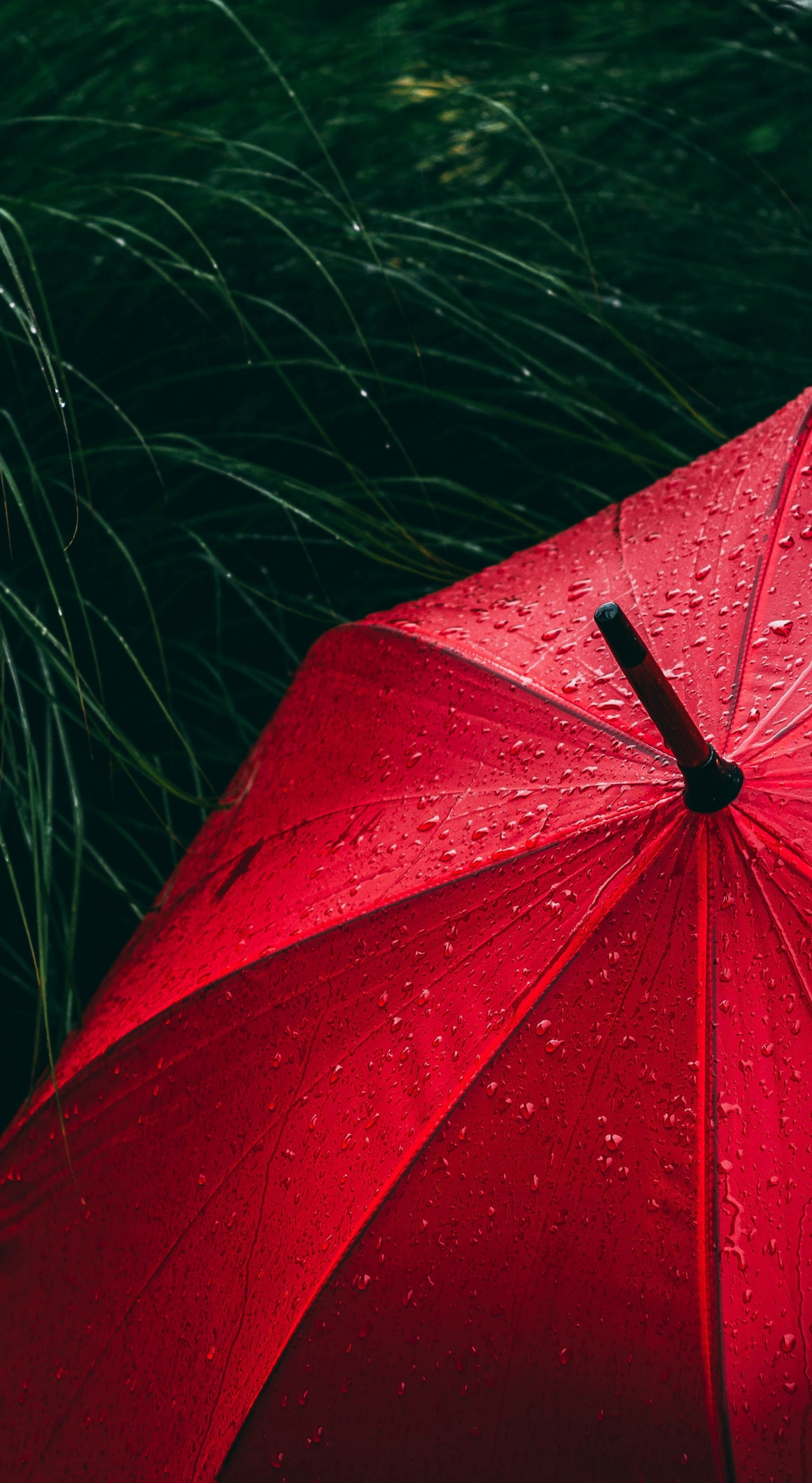 Umbrella red, rain droplets, rain, 1440x2630 wallpaper