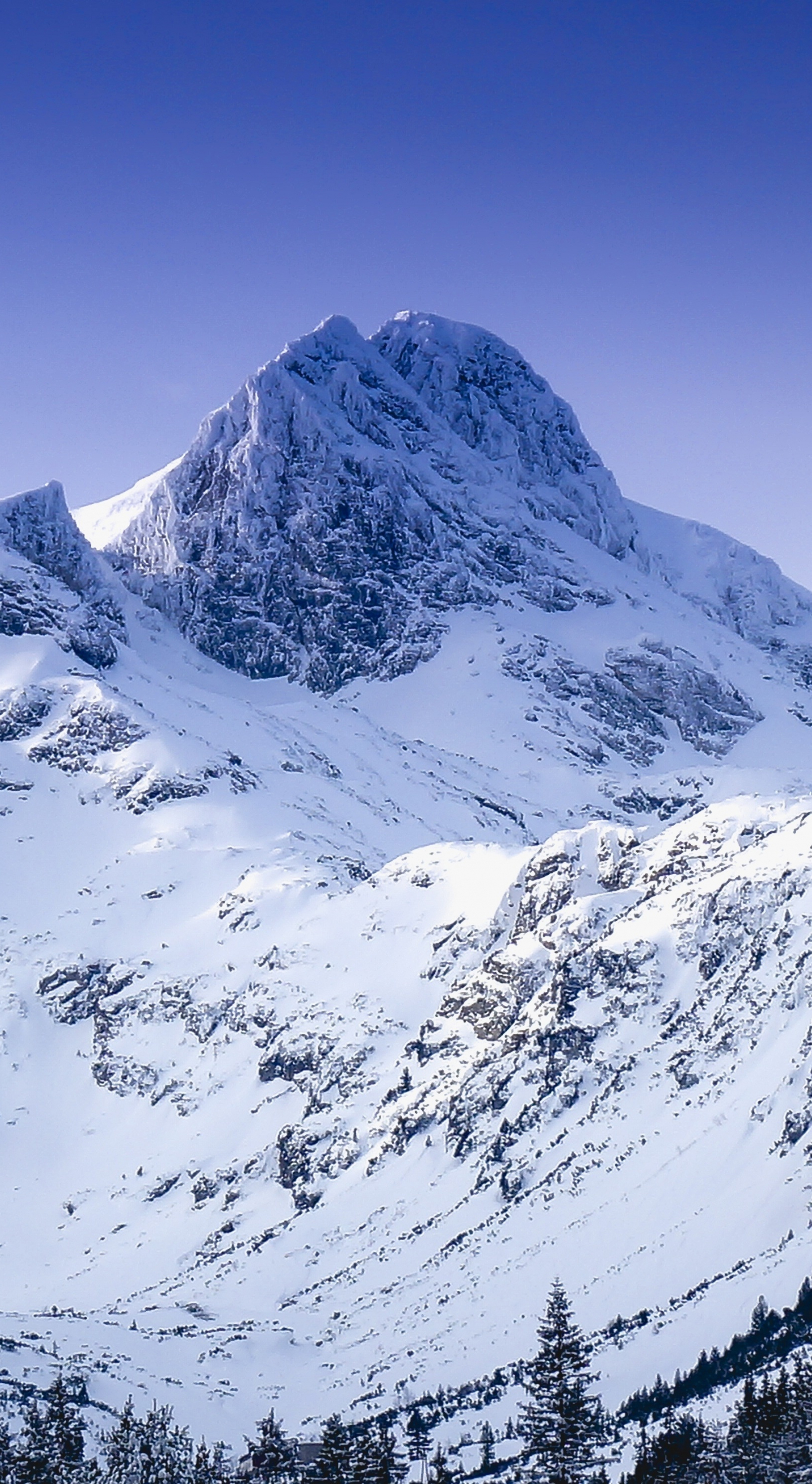 Winter, glacier, mountain, nature, 1440x2630 wallpaper