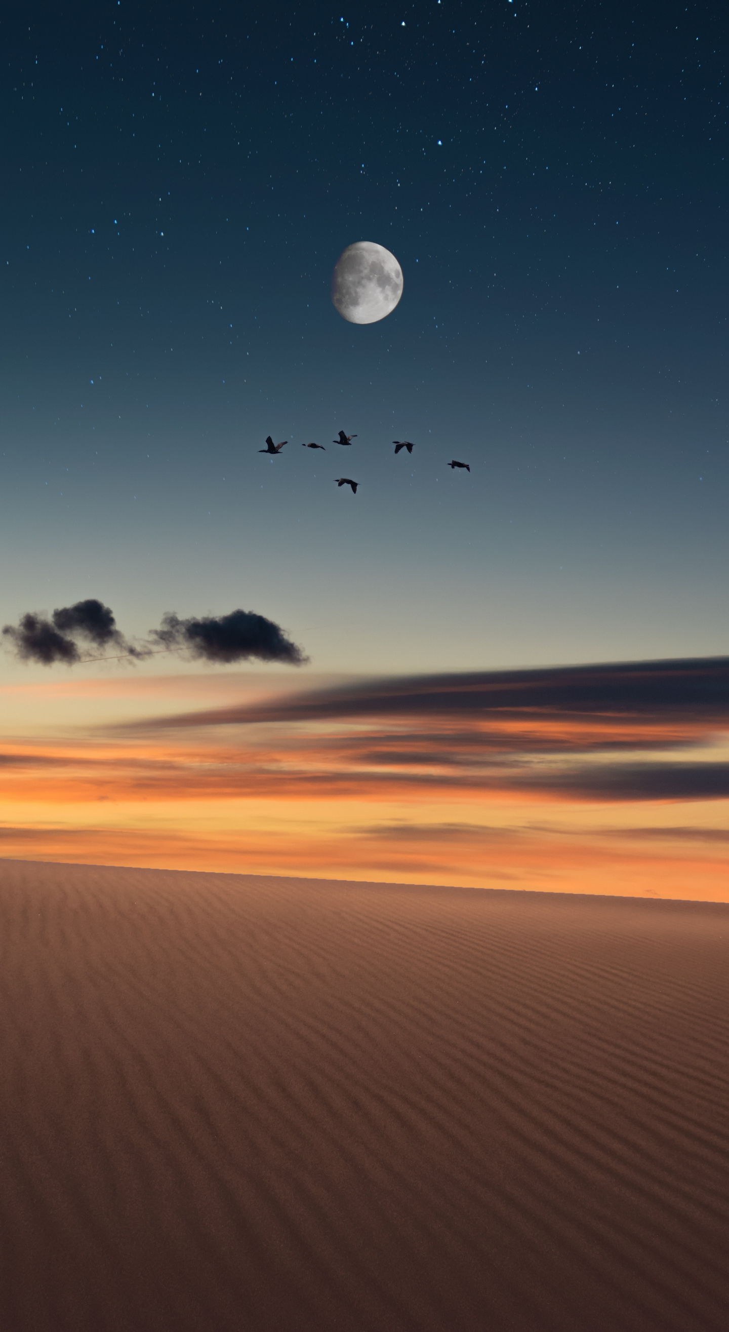 Full moon, birds, landscape, desert, 1440x2630 wallpaper