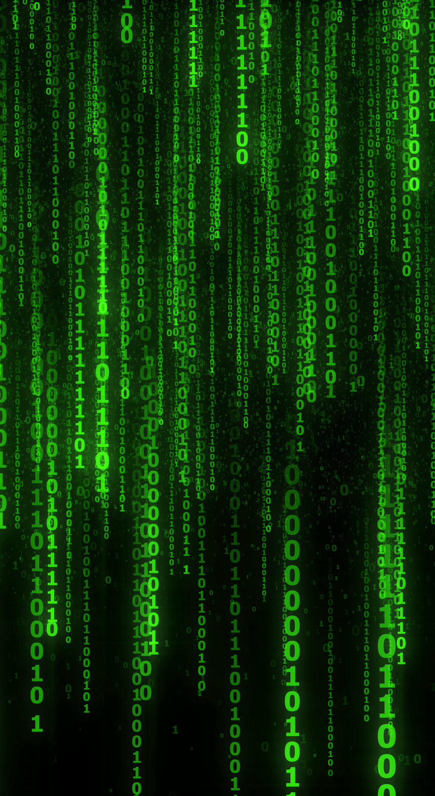 Matrix code, numbers, green, 1440x2630 wallpaper