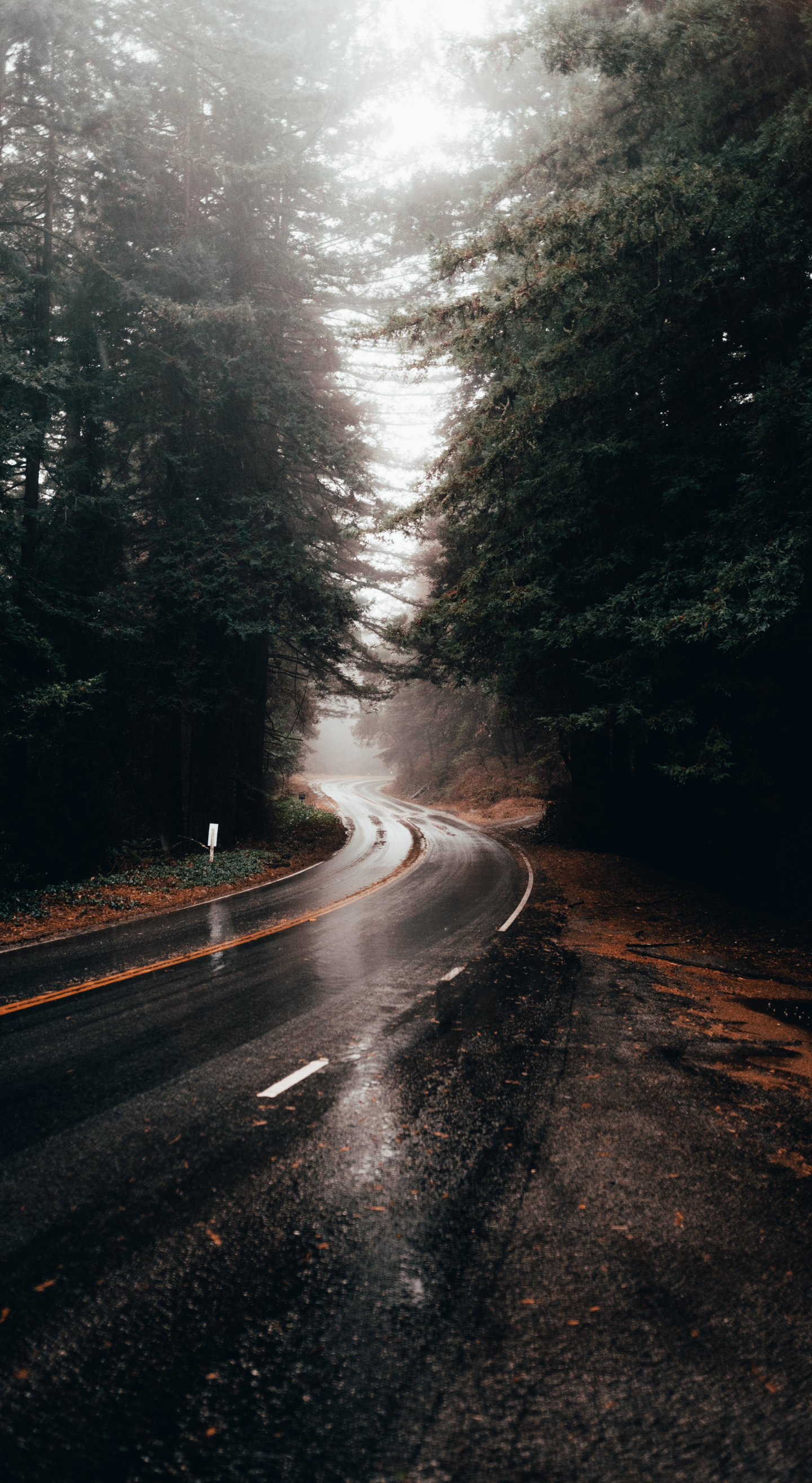 Highway turn, road, rainy, water on road, 1440x2630 wallpaper