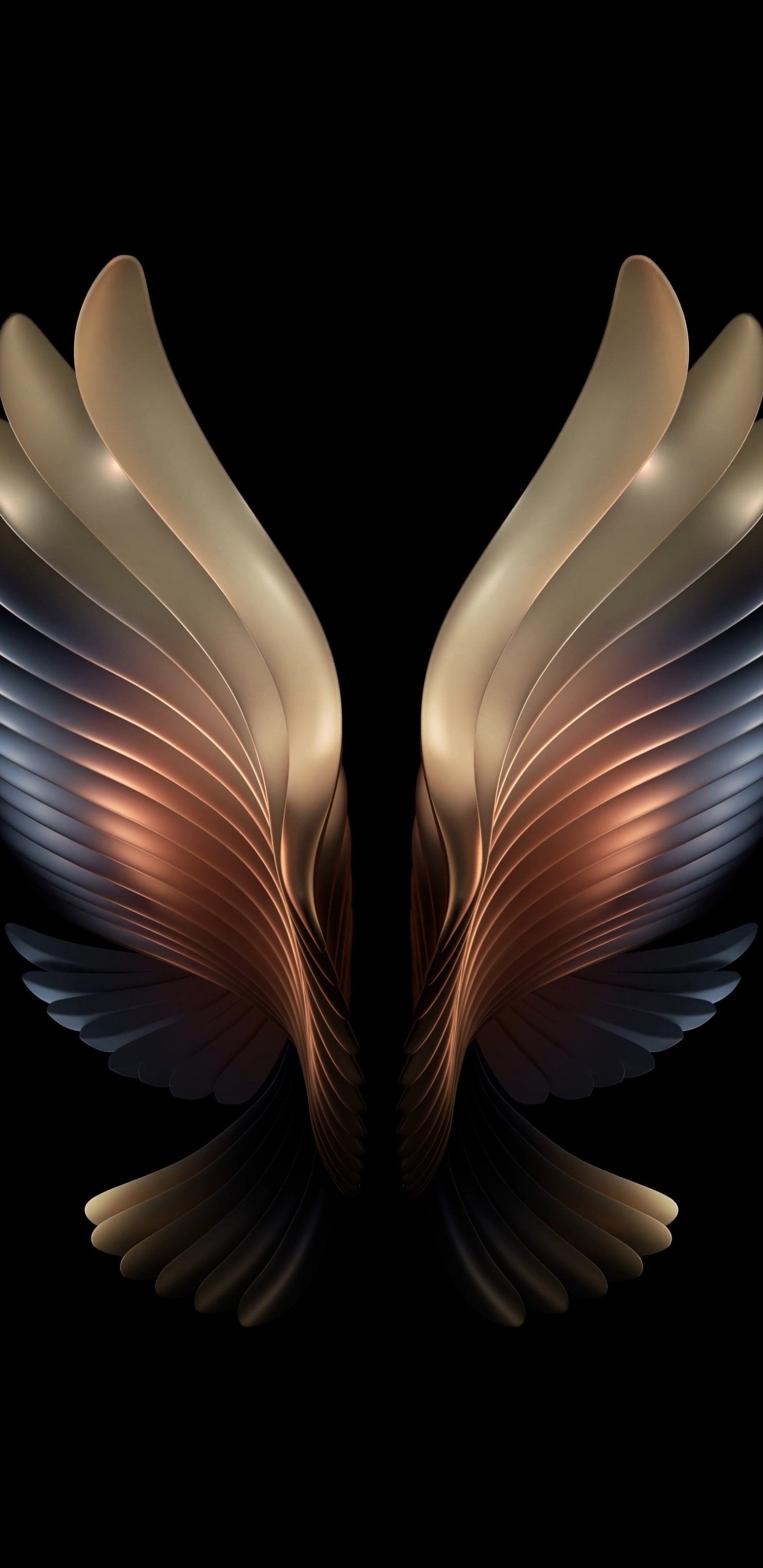 Amoled, angel wings, dark, 1440x2960 wallpaper