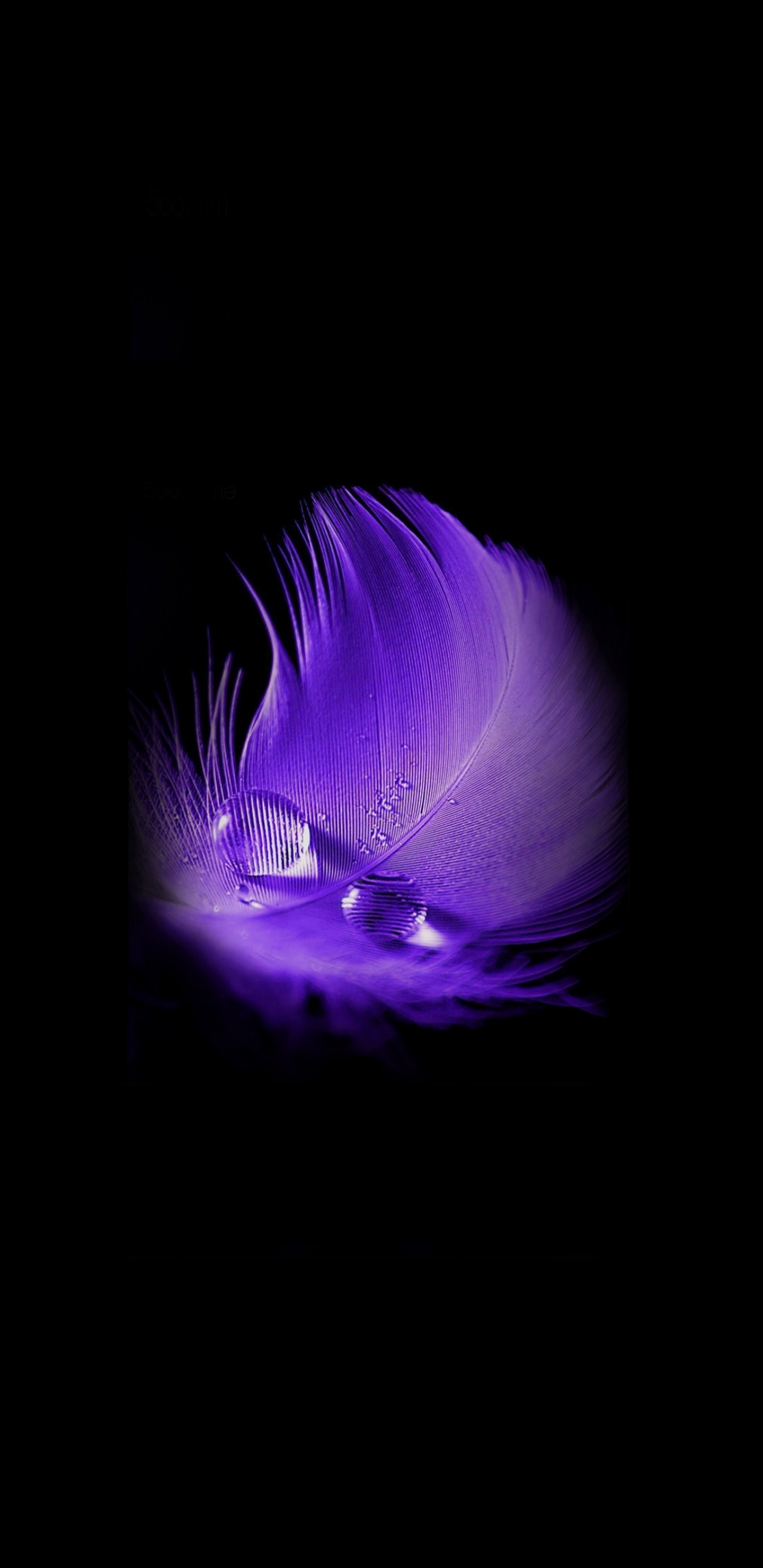 Download wallpaper 1440x2960 purple feather, water drop, minimal, portrait, samsung  galaxy s8, samsung galaxy s8 plus, 1440x2960 hd background, 22182