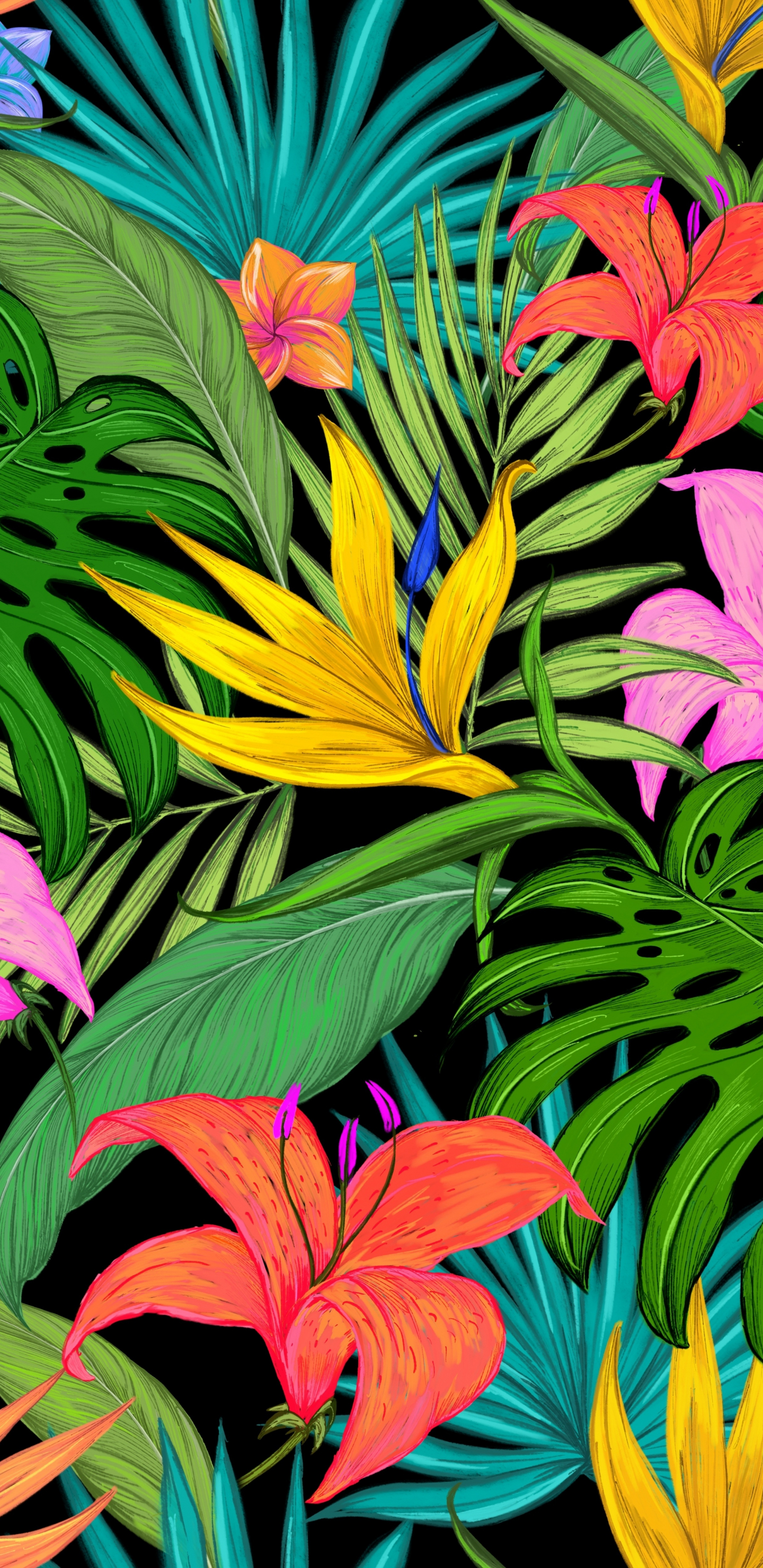 Pattern, tropical, flowers, leaves, 1440x2960 wallpaper