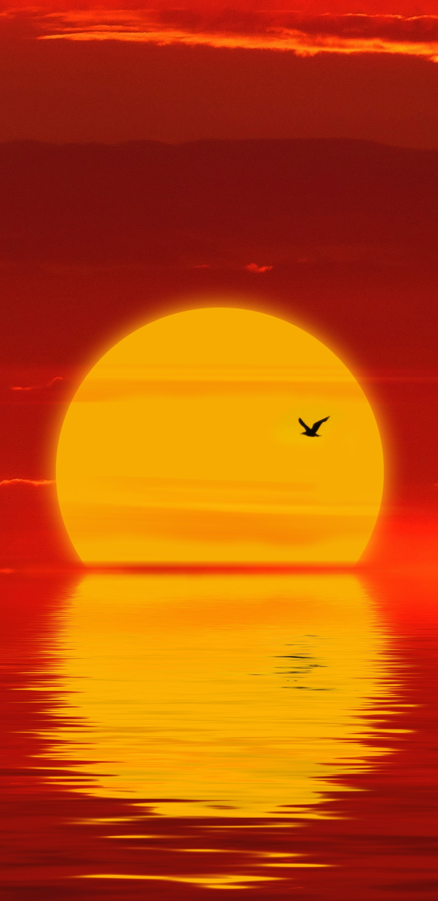 Download wallpaper 1440x2960 sun, sunset, minimal, silhouette, samsung ...