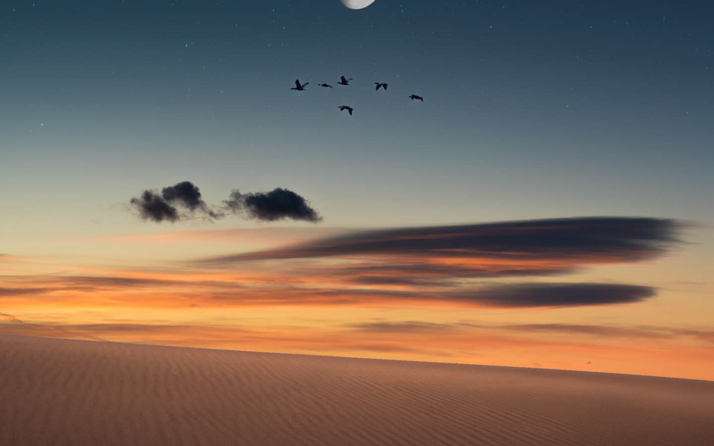 Full moon, birds, landscape, desert, 1440x900 wallpaper