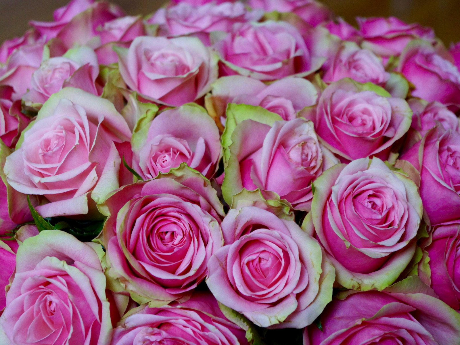 Download wallpaper 1600x1200 bouquet, pink roses, flowers, standard 4:3