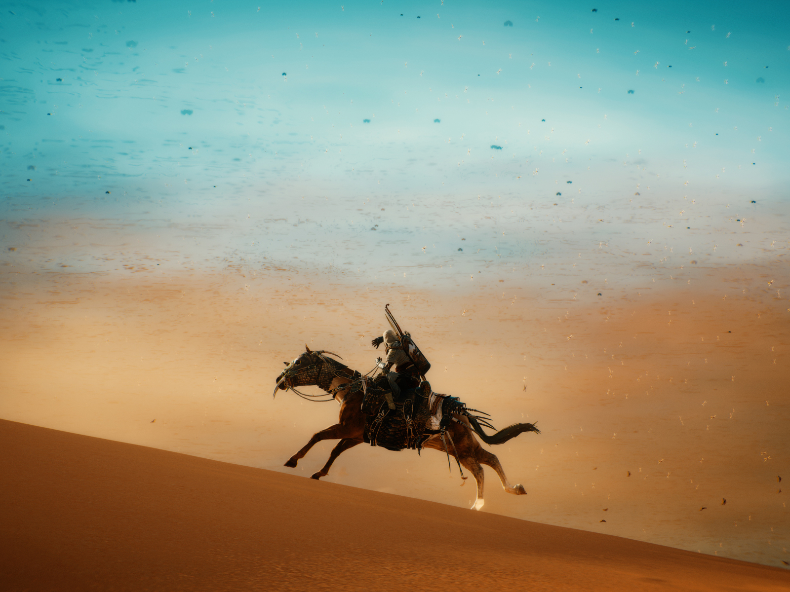 Лошадь в пустыне