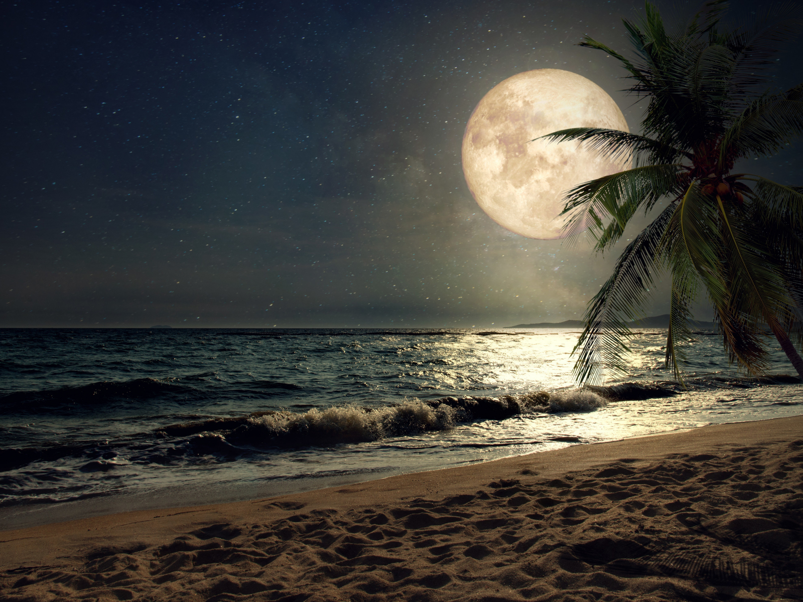 Download wallpaper 1600x1200 beach, sand, night's moon, palm tree