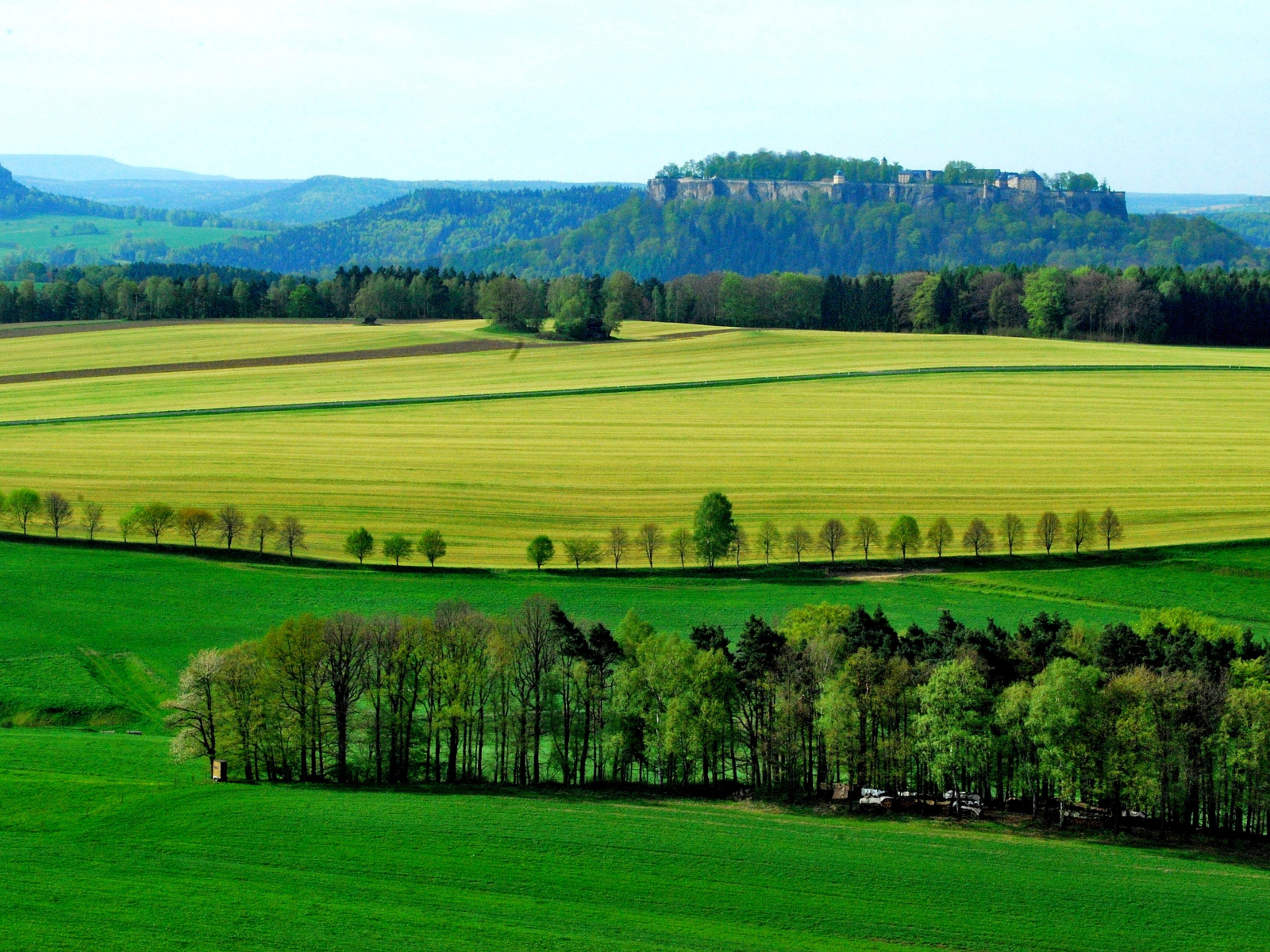 Country field. Земля поле. Поле ферма. Поля зеленые село. Ферма пейзаж.