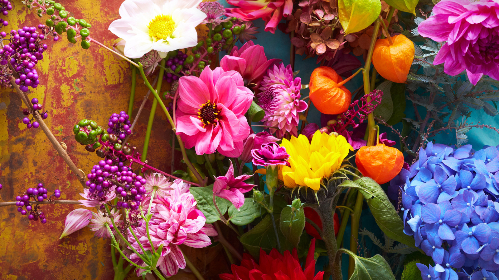 Download wallpaper 1600x900 flowers, bright & colorful, fresh, 16:9  widescreen 1600x900 hd background, 24397