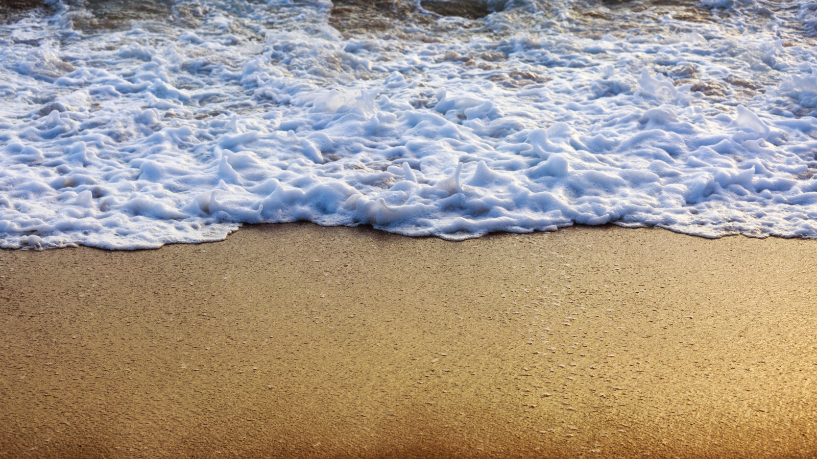 Download wallpaper 1600x900 foam, beach, soft waves, 16:9 widescreen ...