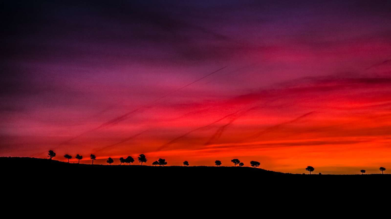 Download wallpaper 1600x900 silhouette, red sky, trees, sunset, 16:9  widescreen 1600x900 hd background, 18058
