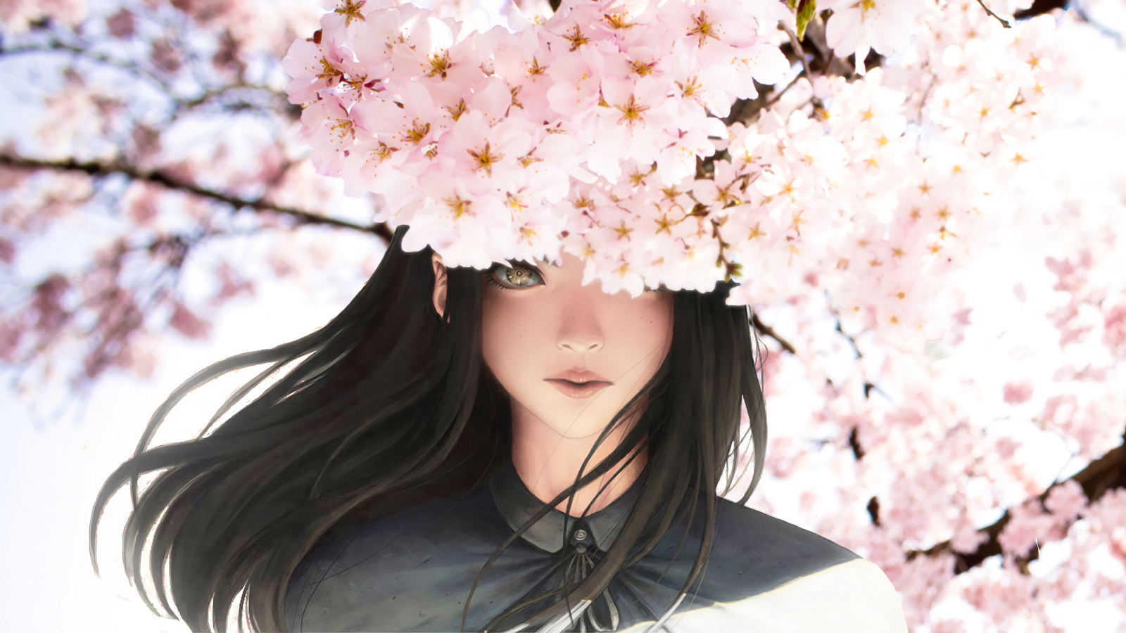 Download wallpaper 1600x900 blossom, anime girl, beautiful, 16:9 widescreen  1600x900 hd background, 24311