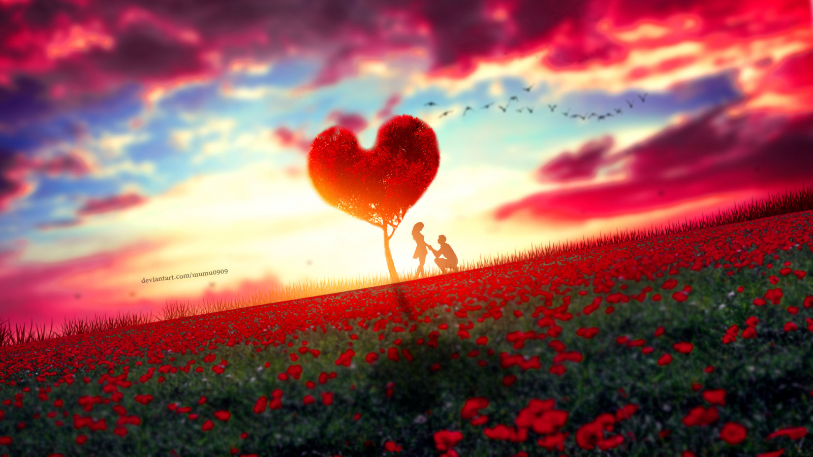 Download wallpaper 1600x900 couple, romantic moment, rose farm, tree,  sunset, 16:9 widescreen 1600x900 hd background, 19410